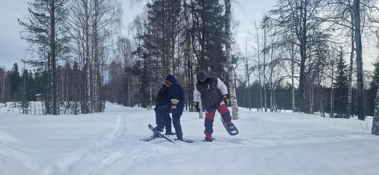 Lapland Old School Hotel Muonio Luaran gambar